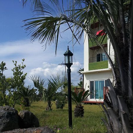 Jeju Bada Wi Olle Pension Seogwipo Dış mekan fotoğraf