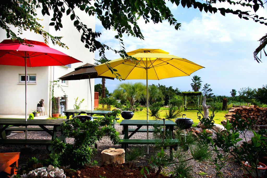 Jeju Bada Wi Olle Pension Seogwipo Dış mekan fotoğraf