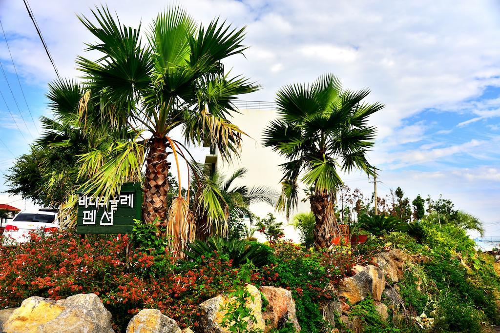 Jeju Bada Wi Olle Pension Seogwipo Dış mekan fotoğraf