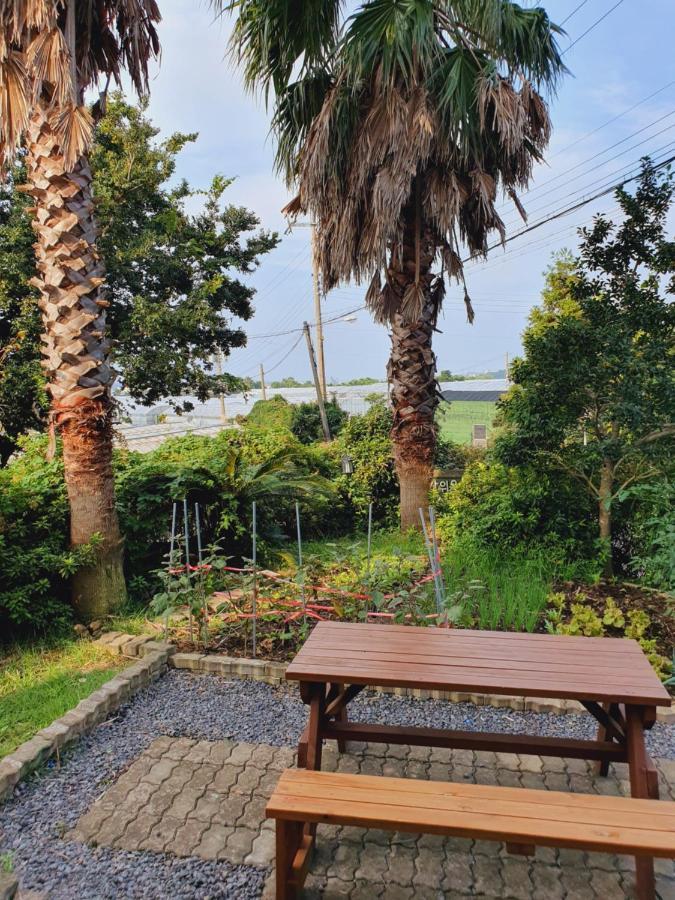 Jeju Bada Wi Olle Pension Seogwipo Dış mekan fotoğraf