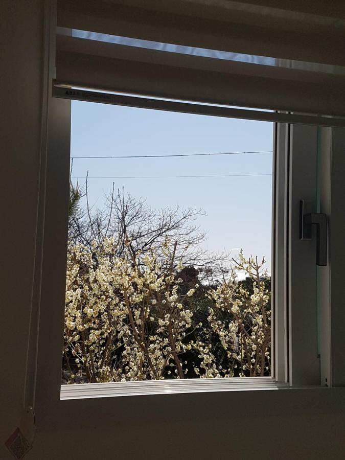 Jeju Bada Wi Olle Pension Seogwipo Dış mekan fotoğraf